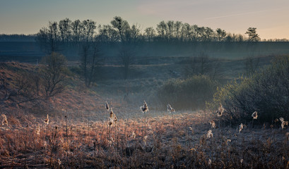 Sunrise on river