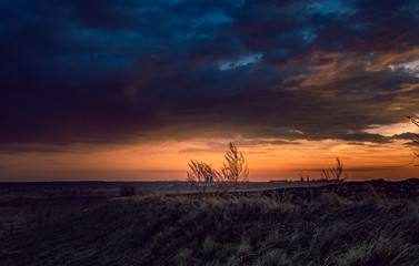 Fields landscape in summer sunset and sunrise