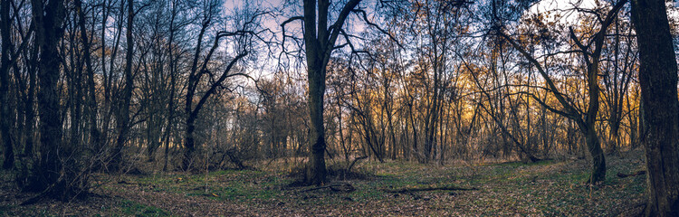 Fototapeta premium Spring landscape