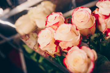 Bunch of Pink red white  bouquet of mixed roses. Pattern Fresh spring Summer background. Greeting card for Saint Valentine's template February 14, Mother's Day, 8 March Teacher's Day