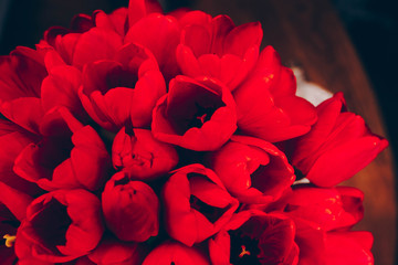 bunch of Pink and red white tulips bouquet of mixed flowers .  Fresh spring Summer background. Greeting card for Saint Valentine's template February 14, Mother's Day, 8 March Teacher's Day