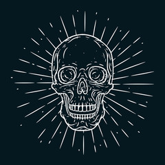 Skull. Vector illustration with human skull. Used for poster, banner, t-shirt print, bag print, badges and logo design.