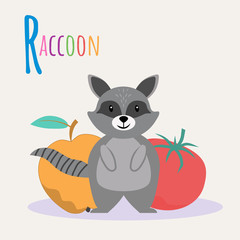 Colorful book alphabet. Book of animals. Raccoon. Letter R