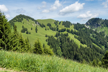 Obraz premium Landscape around Bad Hindelang in Bavaria, Germany