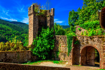Fototapeta premium The ruins of an old German castle