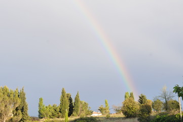 arc en ciel sur la garrigue