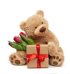 cute brown teddy bear holds in his paw a bouquet of red tulips next to a wrapped gift