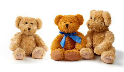  brown curly teddy bears sit on a white background