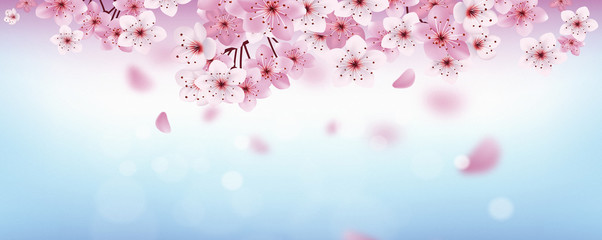 modern spring flowers on pastel color background