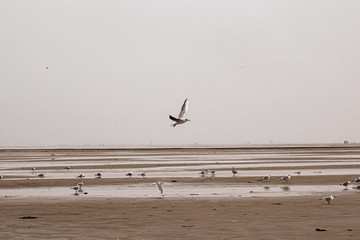 lovely, windy beach