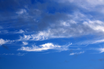 Naklejka na ściany i meble Feather clouds on blue sky