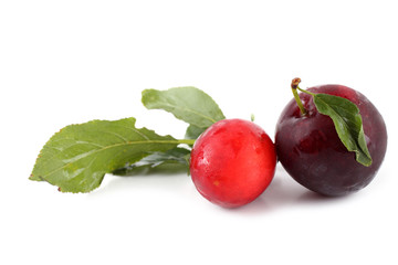 Red plums and leaves isolated on white