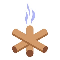 Burned campfire icon. Isometric of burned campfire vector icon for web design isolated on white background