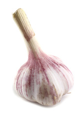 Garlic isolated on white background