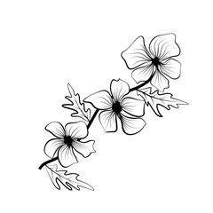 Black outlines of flowers. Flower icon. Vector outline illustration. Floral illustration. Flower background. Isolated white background.