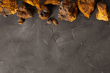 Wild Chaga Mushroom lives on birch bark, inonotus obliquus, on dark textured background. Top view....