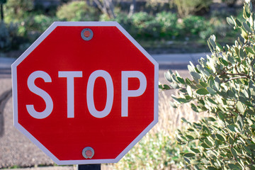 Small red stop sign with green plants