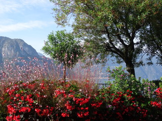 Comersee Villa Melzi