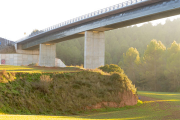 Bridge structure from underneath with background forest
