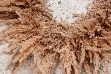 golden wedding wedding rings on natural background. bride and groom wedding accessories