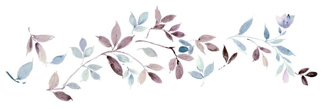 Naklejki Flowers watercolor illustration.Manual composition.Big Set watercolor elements.