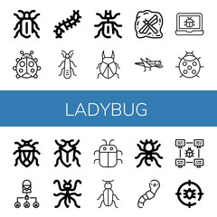 ladybug icon set