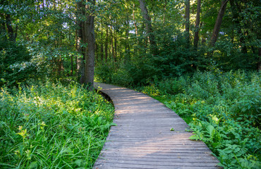 Beautiful park in Wejherowo