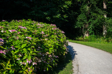 Beautiful park in Wejherowo