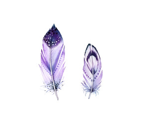 Watercolor feather set. Realistic painting with vibrant violet wings. Boho style illustration isolated on white. Wild bird feather set for invitation, wedding card. Rustic Bright colors