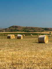 Rural landscape in Basilicata at summer