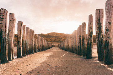 Rows of wooden poles (pole heads or pole knights) during sunset, functioning as a breakwater for the coast of Domburg, The Netherlands