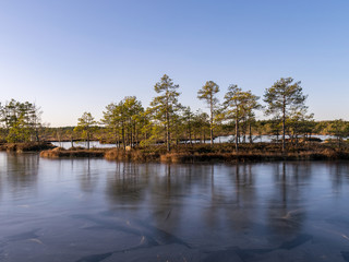 Obraz premium beautiful bog landscape in the morning