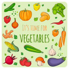 Vegetables icons set. Vegetables  collection. Flat vector vegetables. 