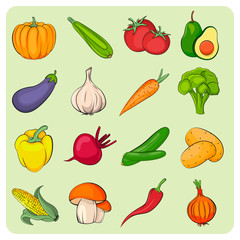Vegetables icons set. Vegetables  collection. Flat vector vegetables. 