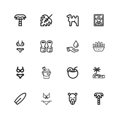 Editable 16 palm icons for web and mobile