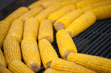 Grilled corn. Street food festival. Close up of appetizing grilled sweet corn on the bbq grill.