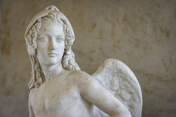 Fototapeta premium Skrzydło