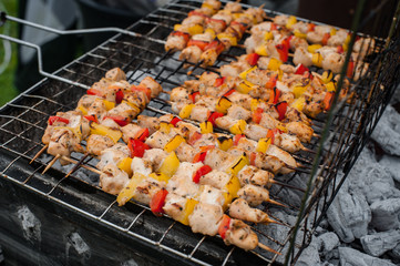 Kebabs - grilled meat and vegetables. Grilled kebab. Street food