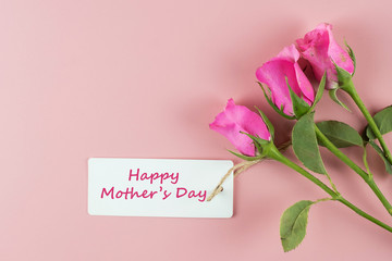 Pink Rose flower on pink background with copy space for text. Love and Mother day concept