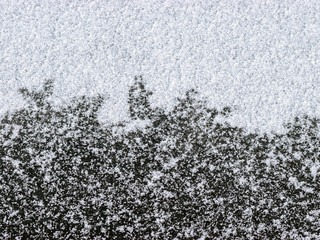 texture of snow and ice