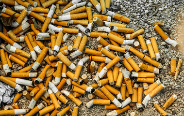 Ausgedrückte Zigarettenstummel auf derS traße