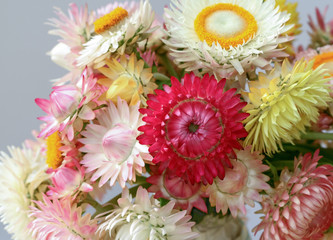 Dryed natural colorful flowers, suitable for transport around the world