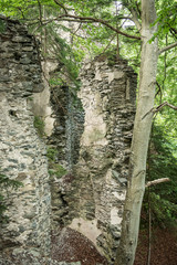 ancient ruin in the forest – nature conquers back