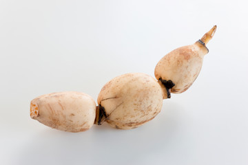 蓮根