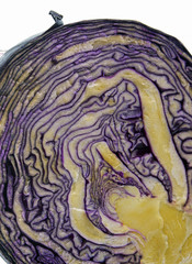 Obraz premium red cabbage on white background