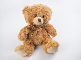 Cute teddy bear at isolated white background
