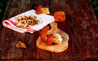 preparing fresh boletus edulis for drying over Wooden Background. Autumn Cep Mushrooms. Cooking delicious organic mushroom. Gourmet food