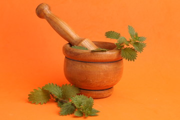 plant used for nettle medicine in color background