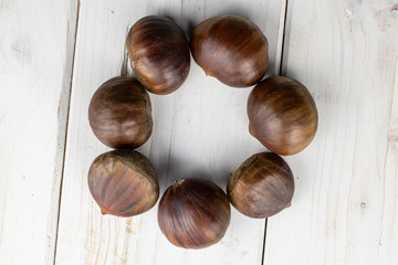 Group of seven whole edible brown chestnut circle flatlay on white wood