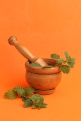 plant used for nettle medicine in color background